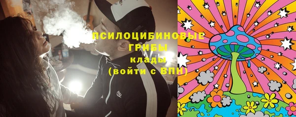 apvp Балахна