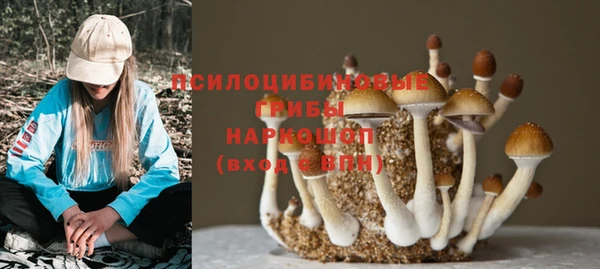 apvp Балахна