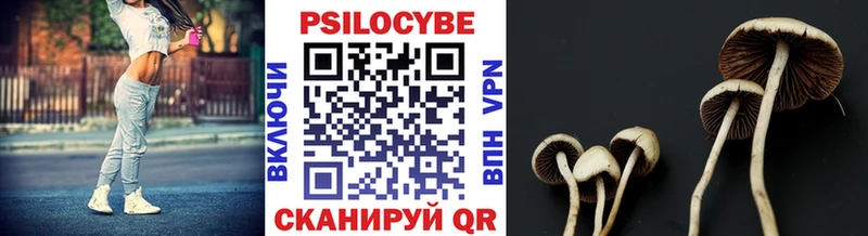цены наркотик  Тара  Галлюциногенные грибы Psilocybine cubensis 