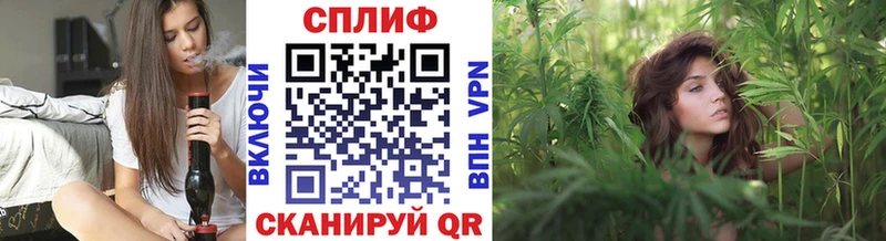 продажа наркотиков  Тара  Марихуана Amnesia 